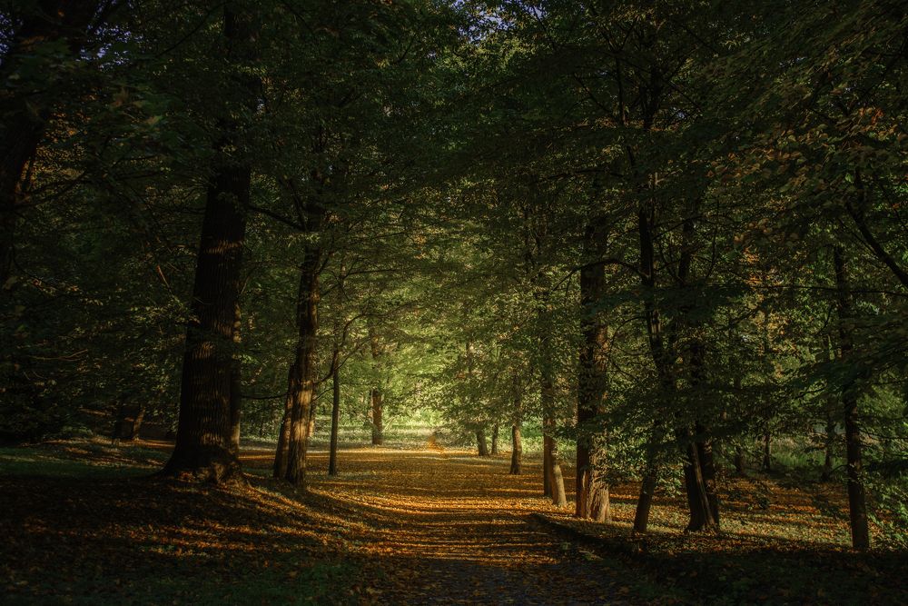 Фотография автора Justyna Jeżak