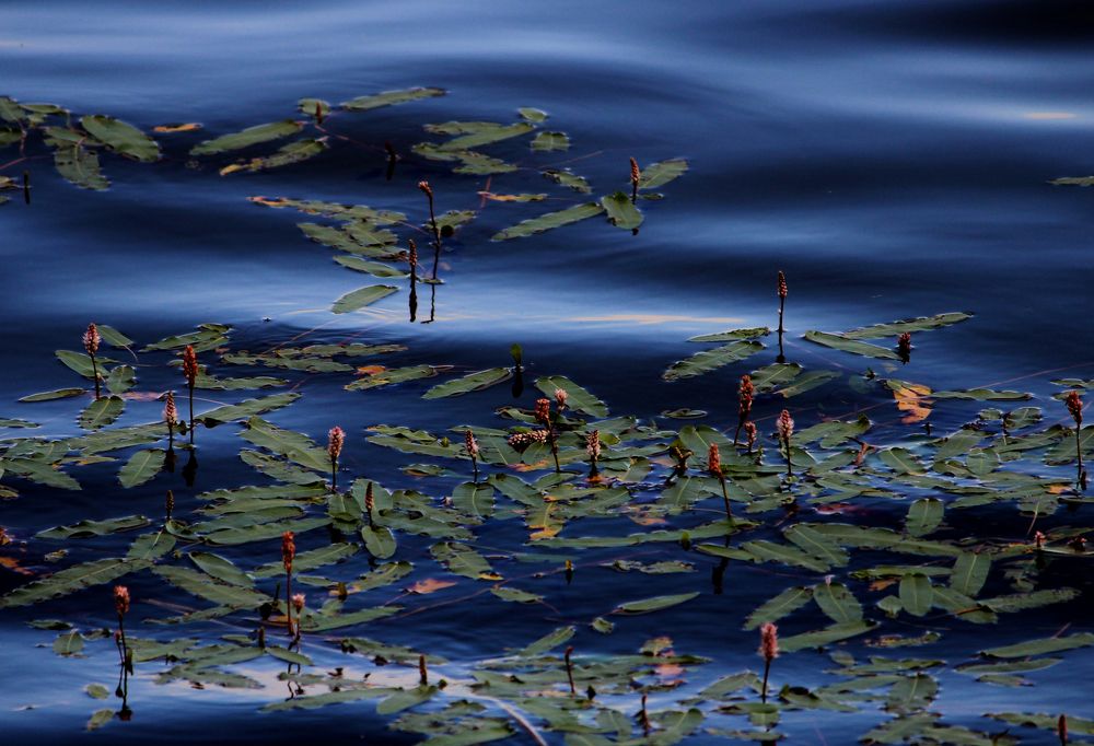 Photograph by Зоя Быкова