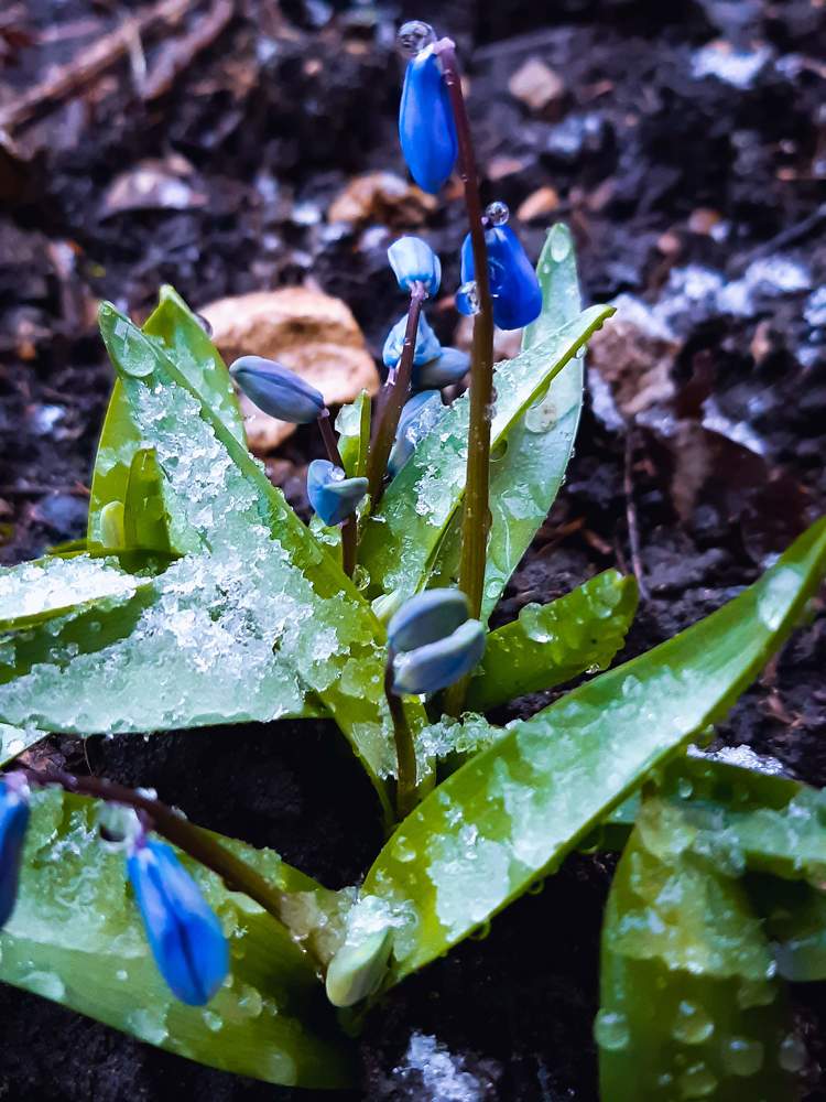 Photograph by Елена Безгинова