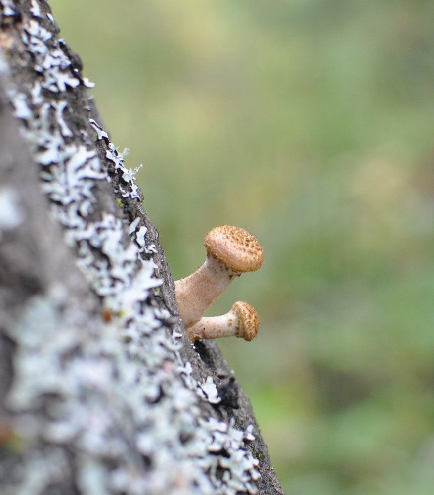 Photograph by Алексей Попонин