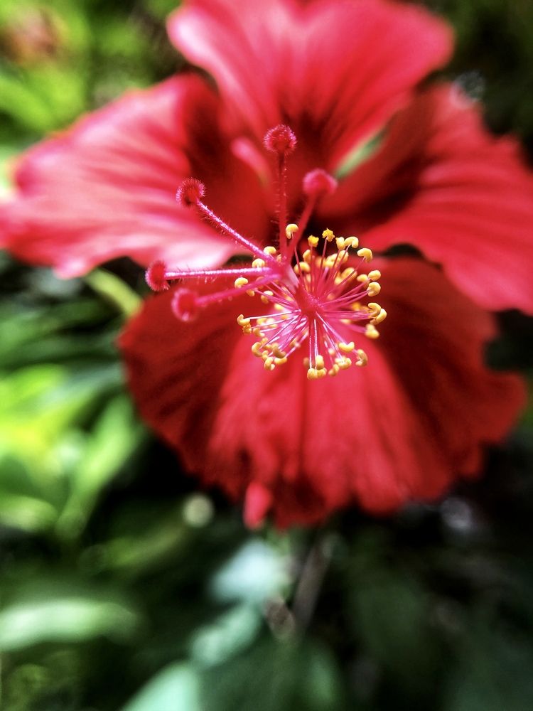 Photograph by Мария Шрейдер