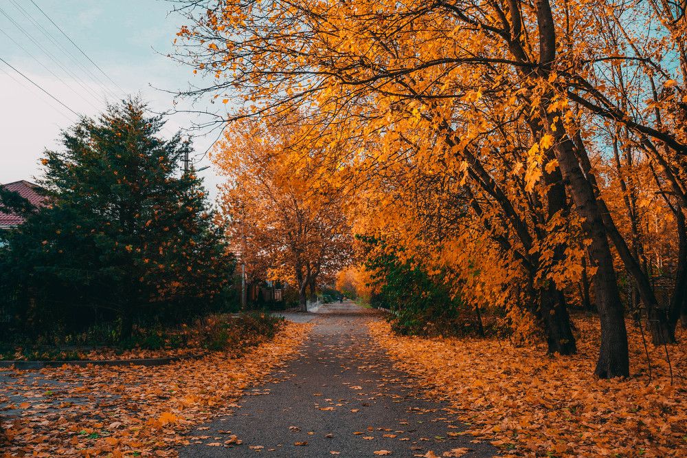 Photograph by Татьяна Ханжиева