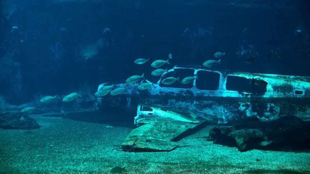 Фотография автора Вячеслав Владимирович