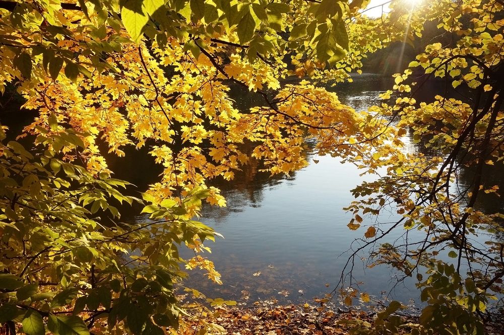 Photograph by IRINA KORNEVA