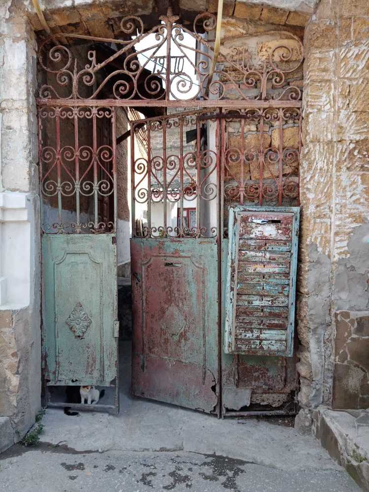 Photograph by Хамитова Светлана