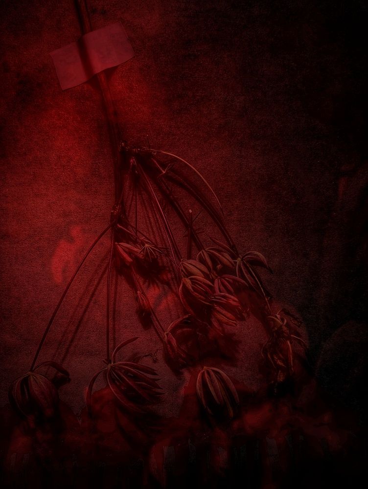 Photograph by Татьяна Гулакова