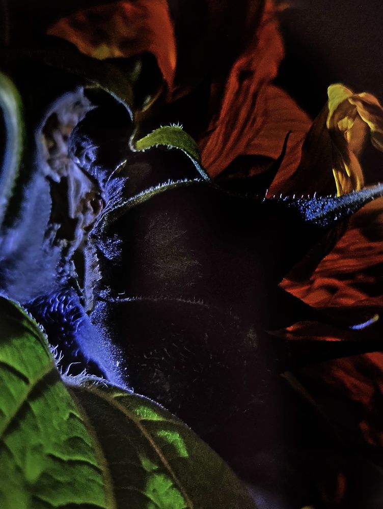 Photograph by Татьяна Гулакова