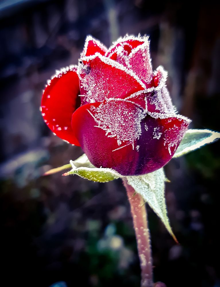 Photograph by Елена Безгинова