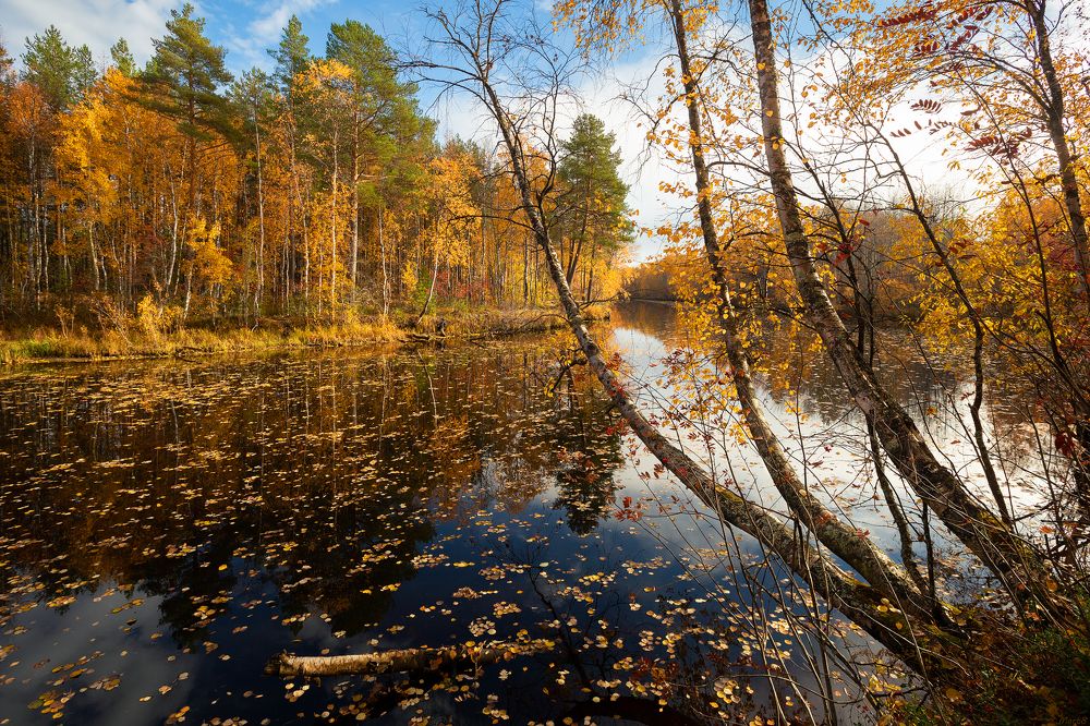 Photograph by Александр Кузнецов