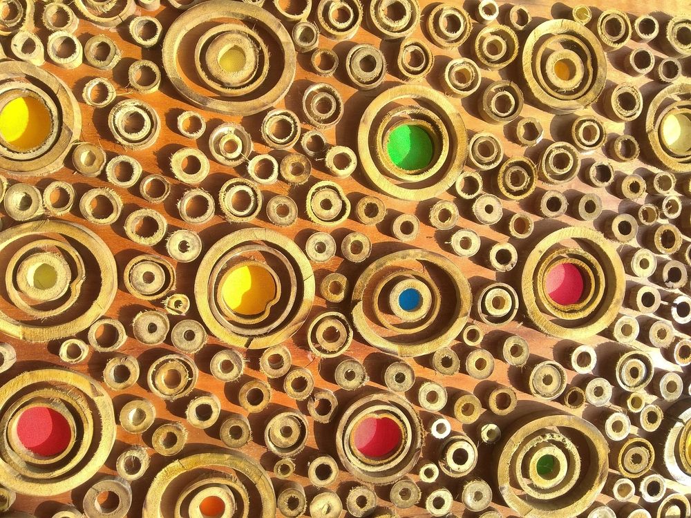 Photograph by SURAJIT SARKAR