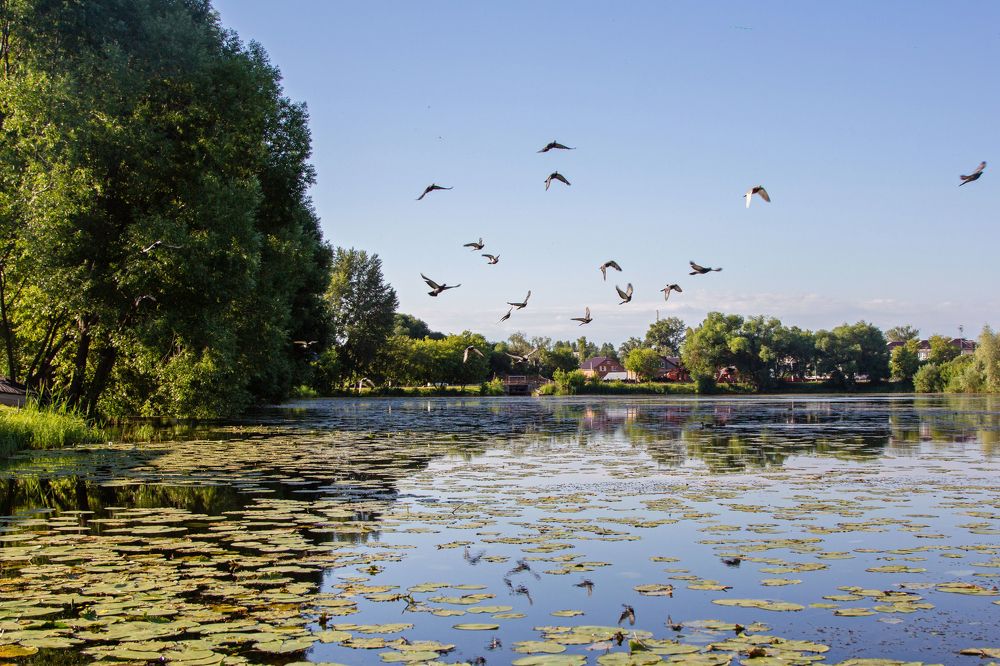 Photograph by Мария Мурзина