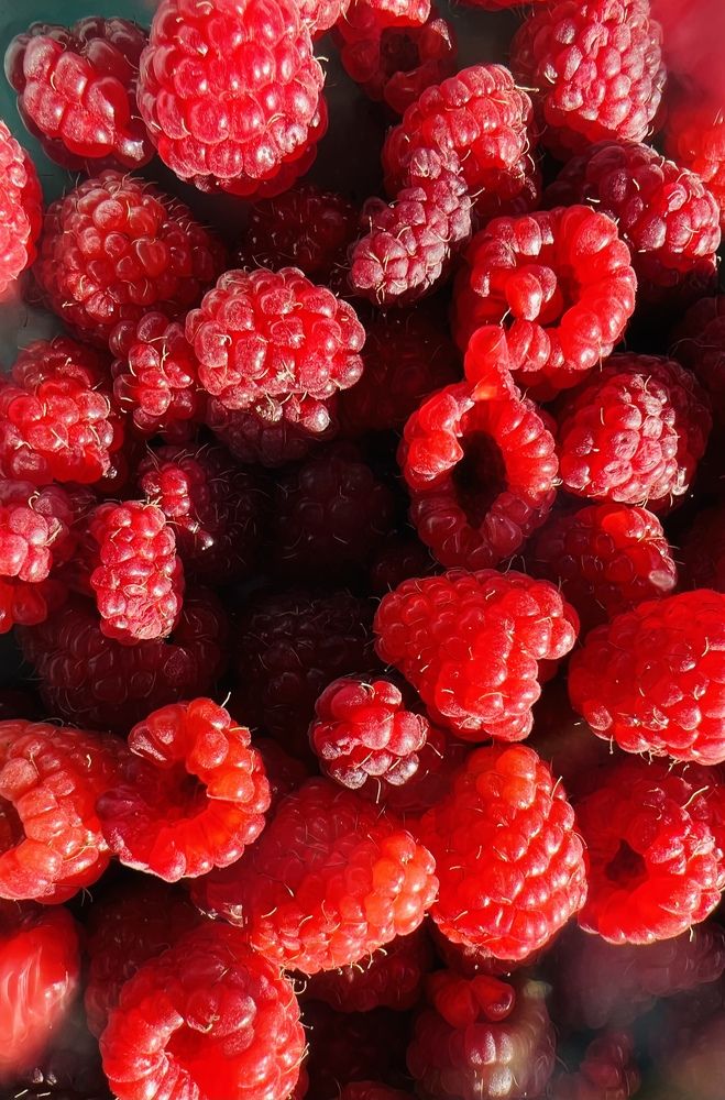 Photograph by Юлия Честнова