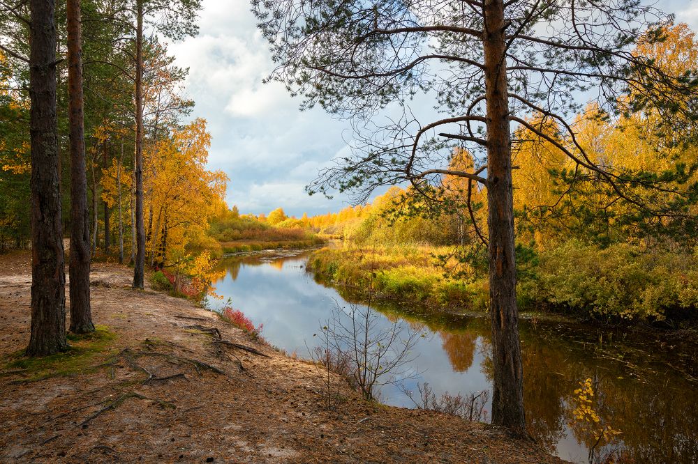 Photograph by Александр Кузнецов