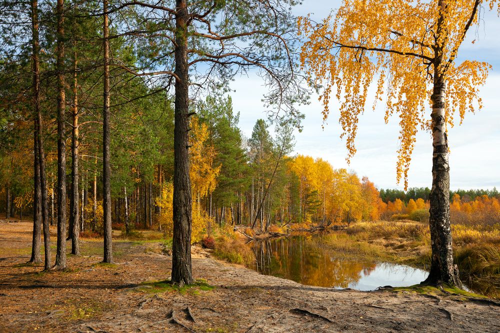 Photograph by Александр Кузнецов