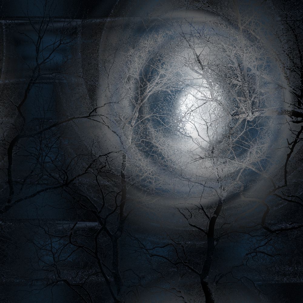 Photograph by Alexander Svetlov