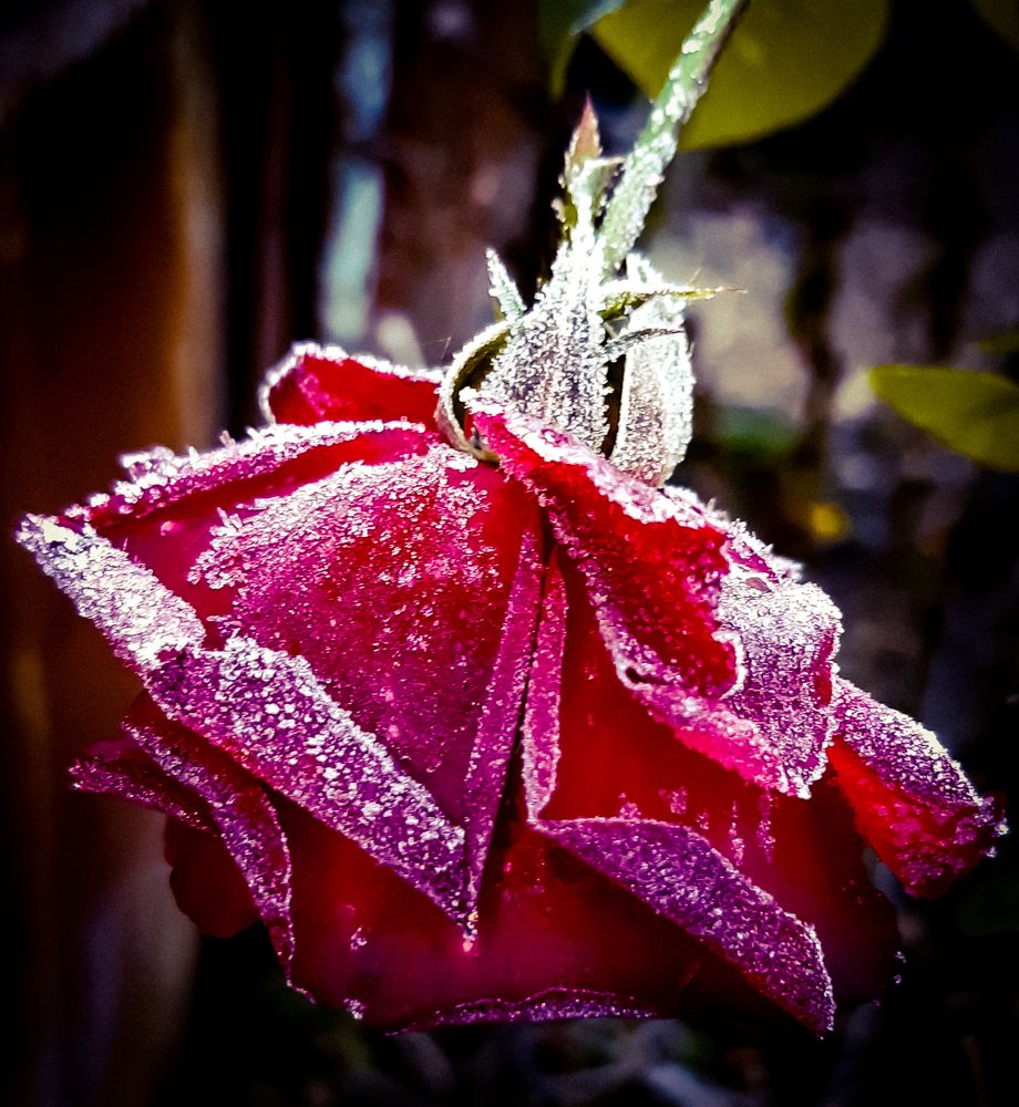 Photograph by Елена Безгинова