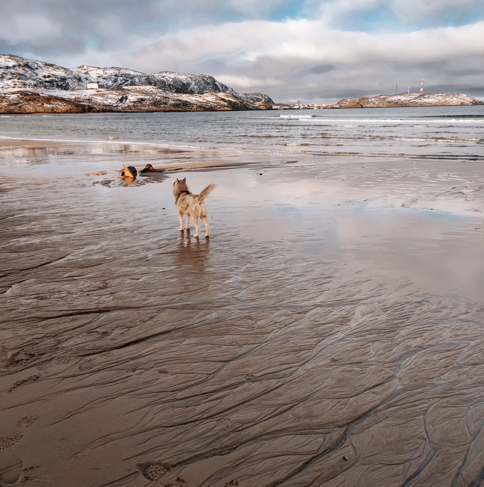 Photograph by Светлана Мыльникова