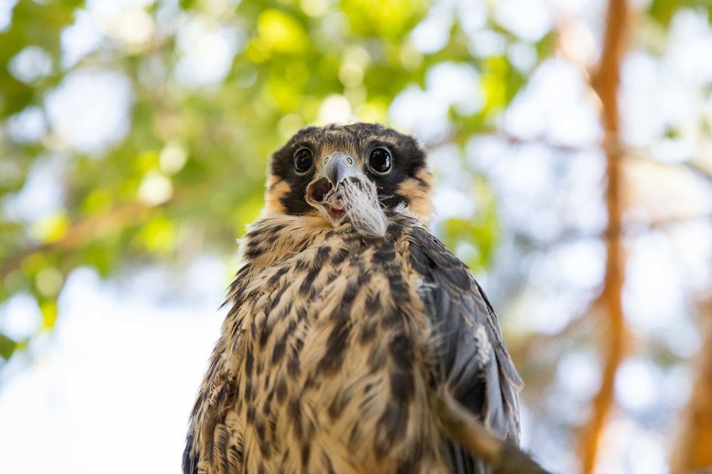 Photograph by Мария Мурзина