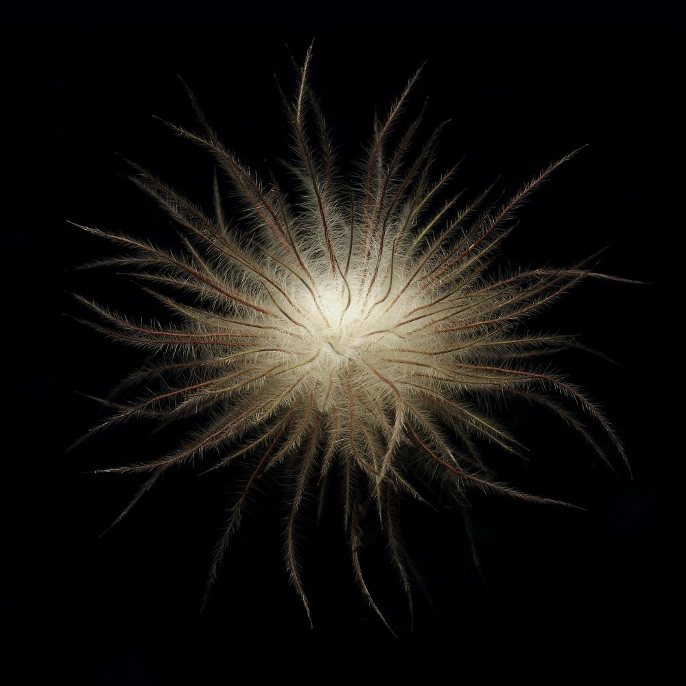 Photograph by Alexander Svetlov