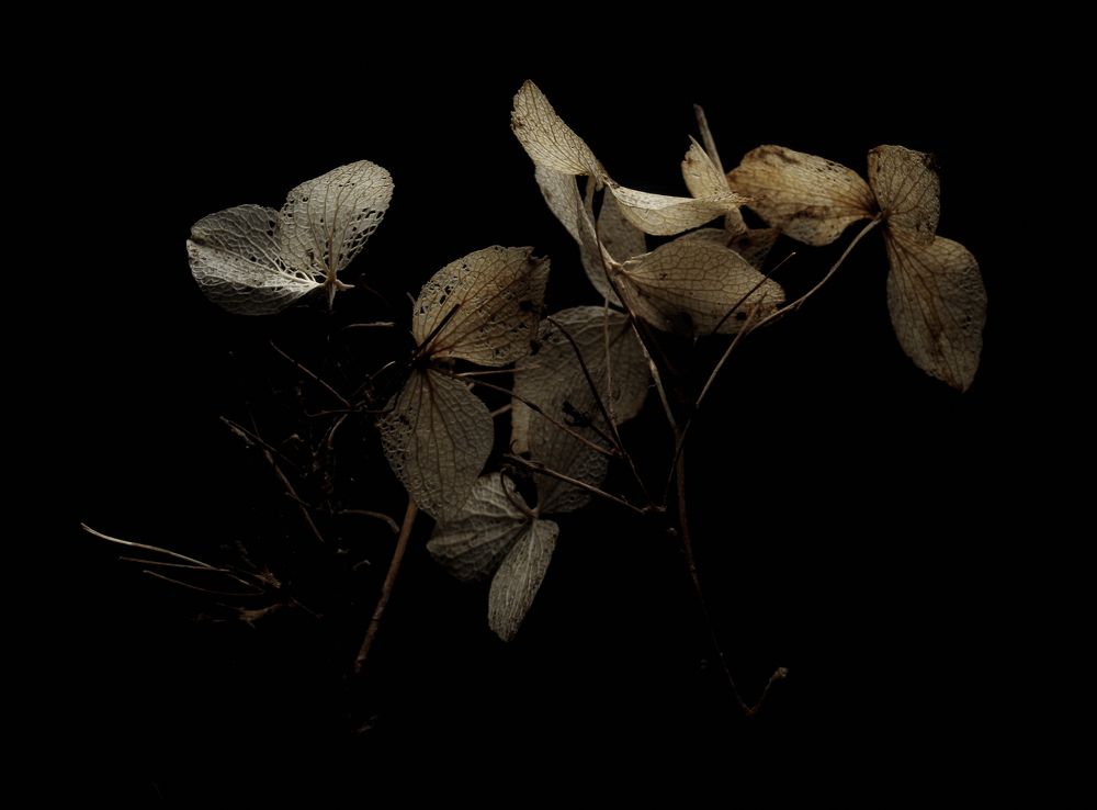 Photograph by Alexander Svetlov