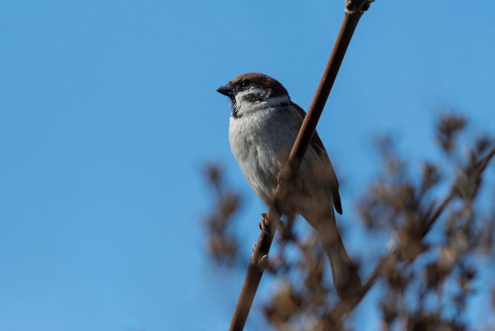 Photograph by Александр Перегудов