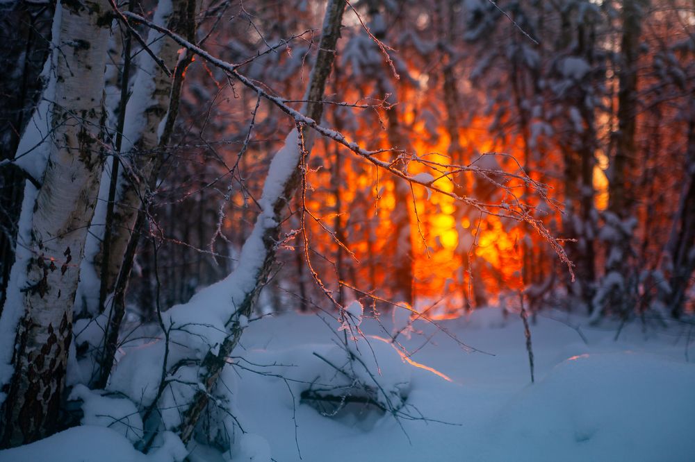 Photograph by Ершов Сергей