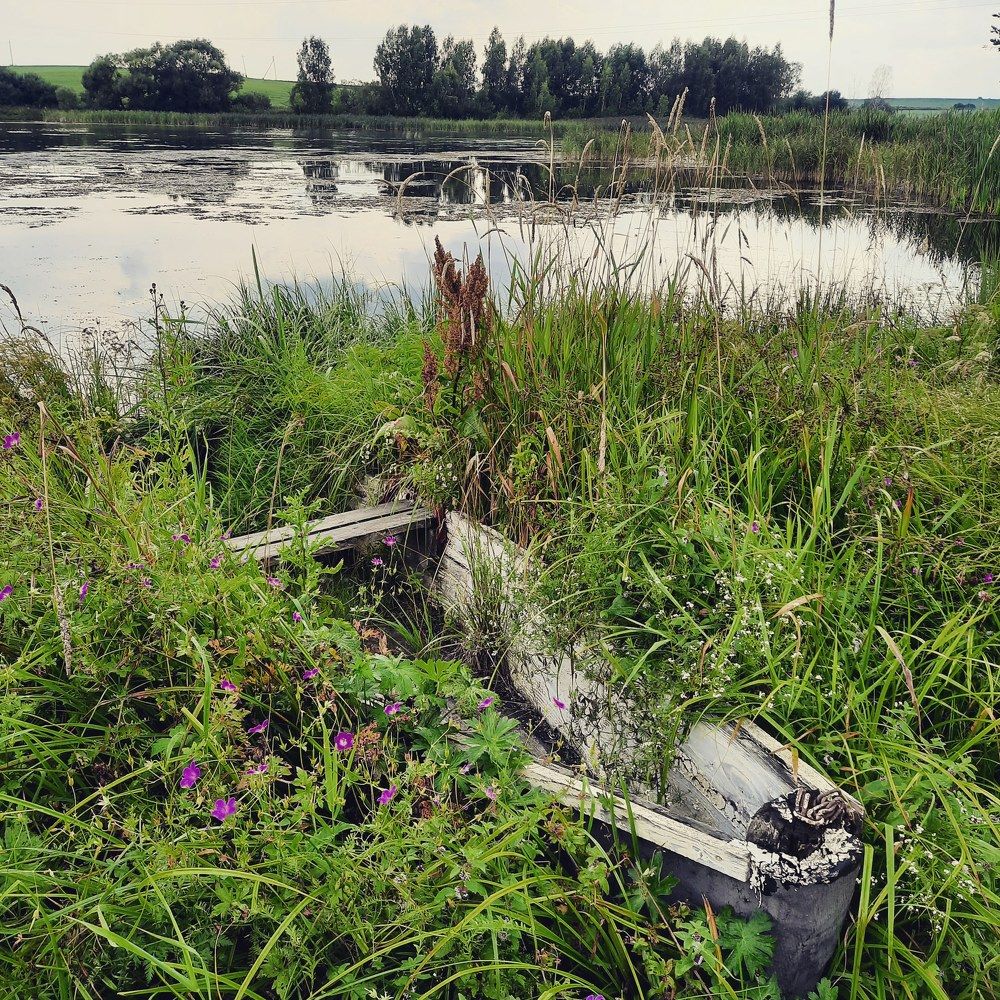 Photograph by Юлия Лебедева