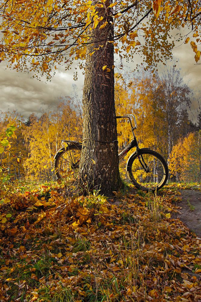 Photograph by Алина Жук