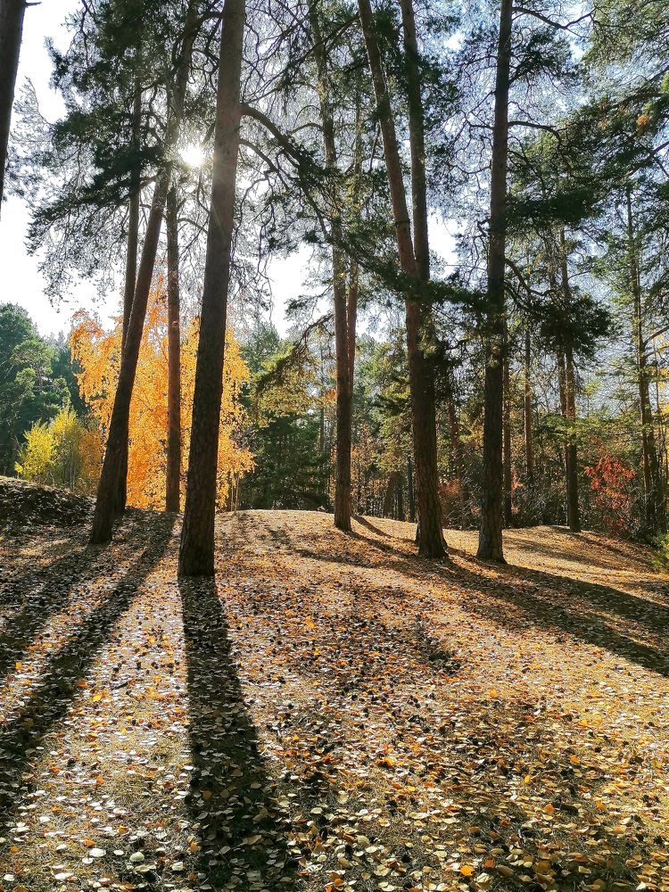 Photograph by Елена Андреевна