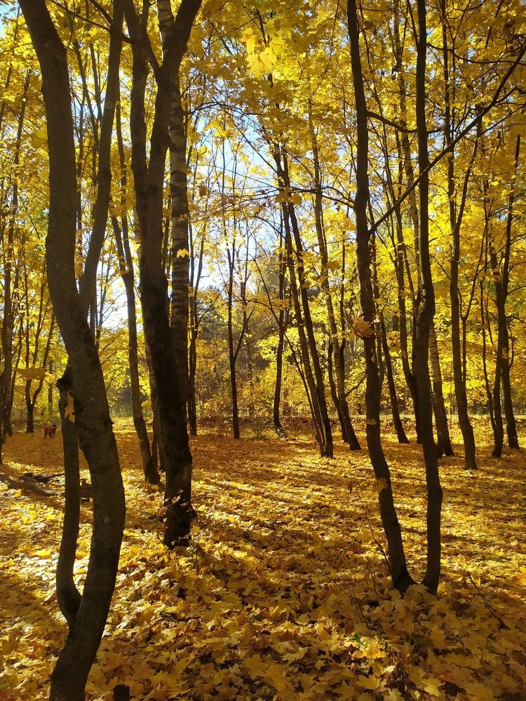 Photograph by Елена Смирнова