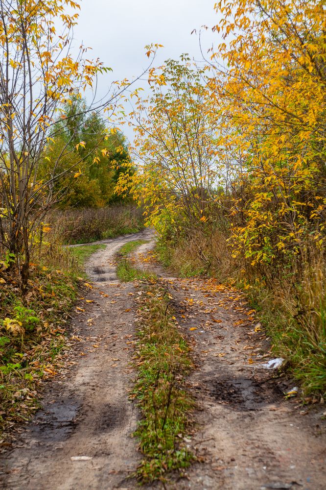 Photograph by Ершов Сергей