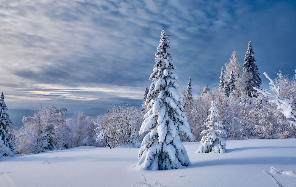 Photograph by Игорь Тымчук