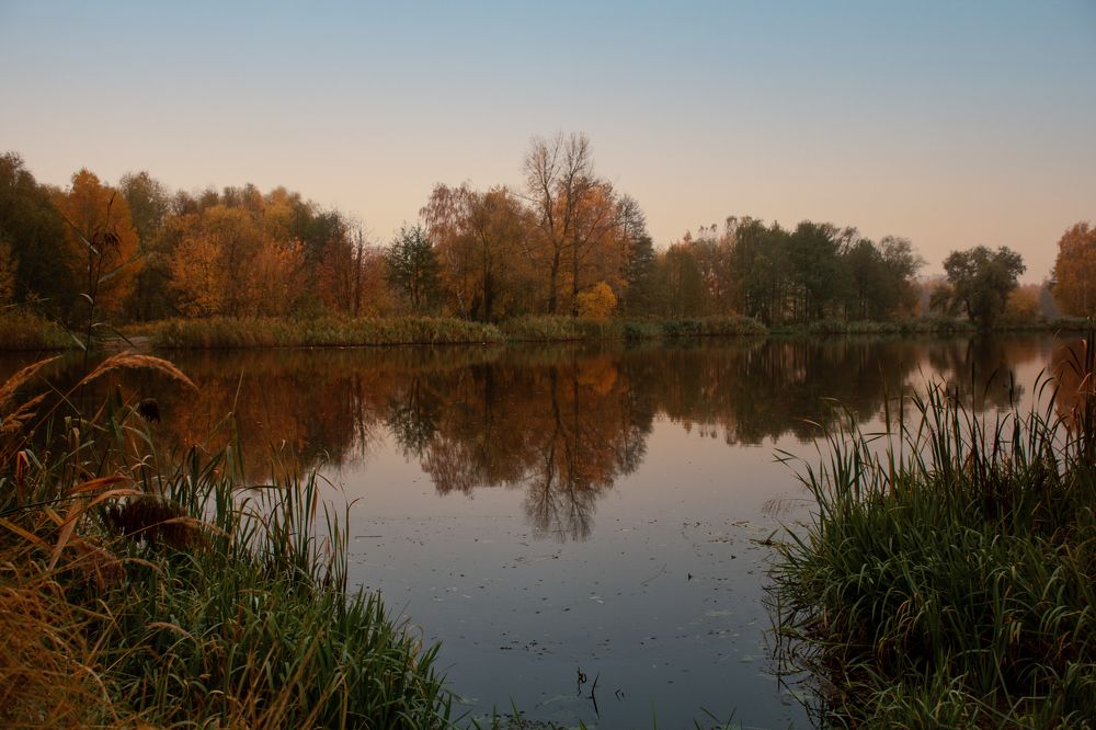 Photograph by Наталья Быстрая