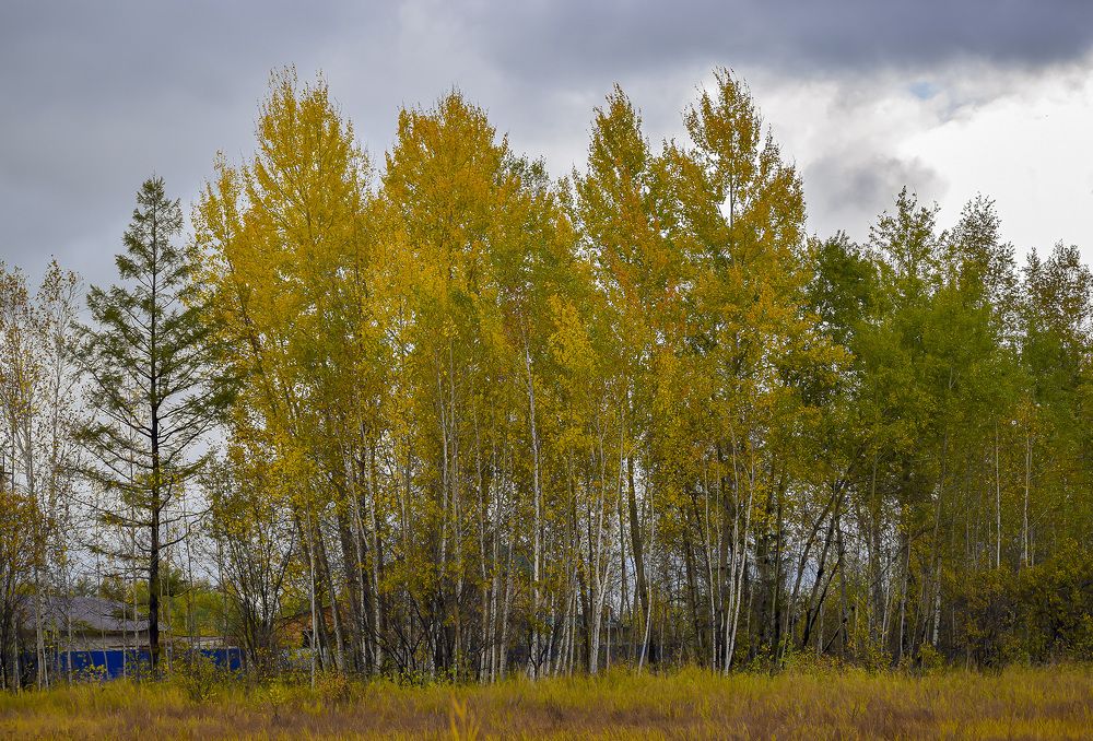Прогулка в осень