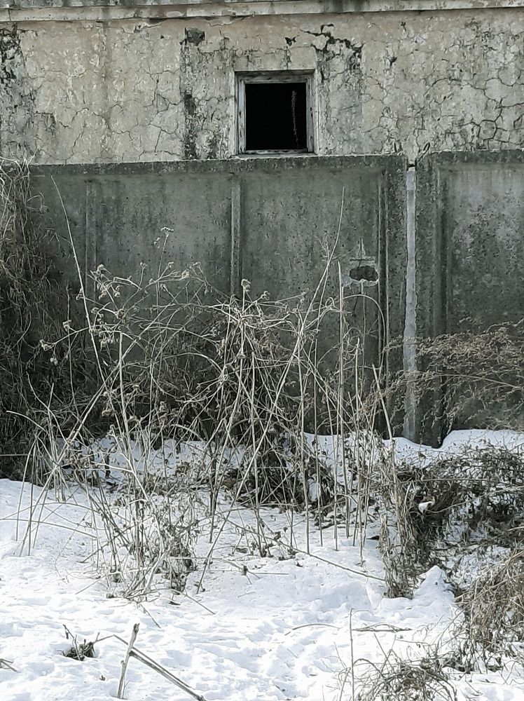 Photograph by Александр Корнелюк