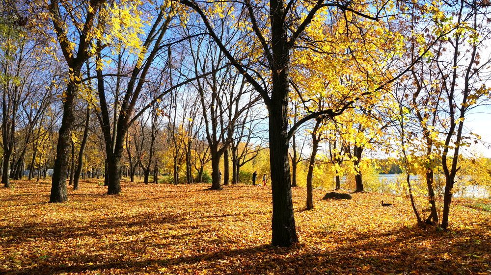 Photograph by Блюмина Елена