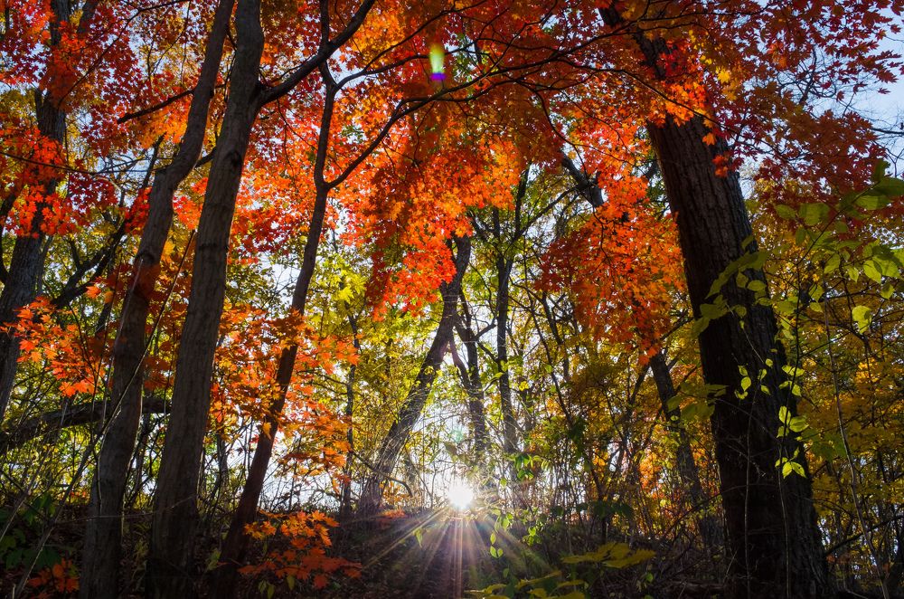 Photograph by Александр Коваль