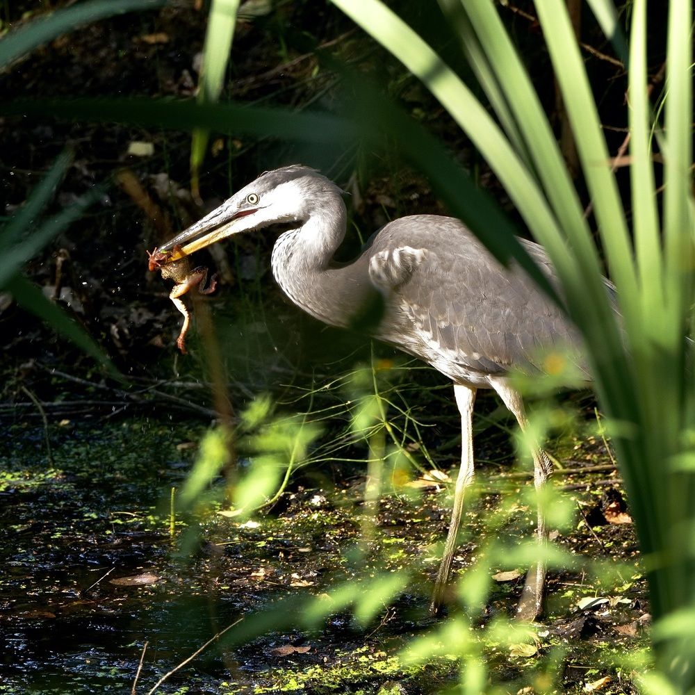 Photograph by Михаил Копанс