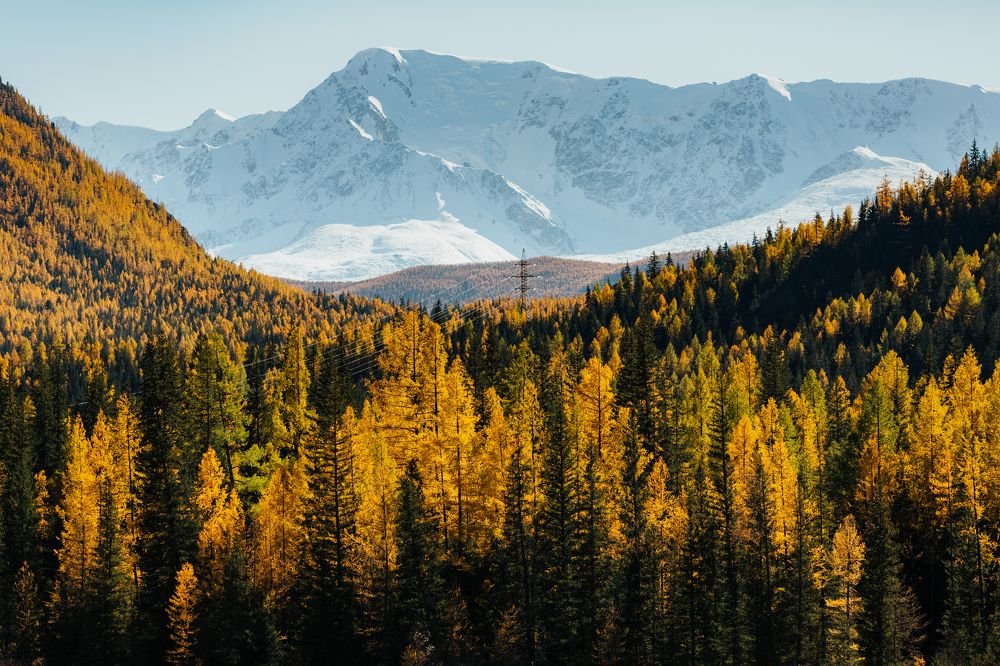 Photograph by Альбина Сагитова