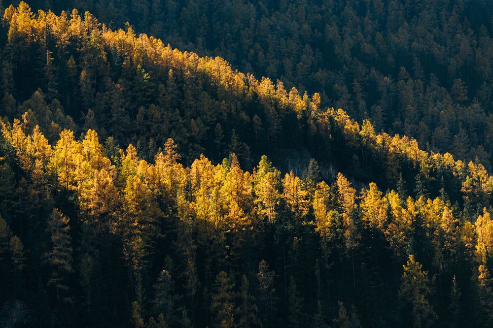 Photograph by Альбина Сагитова