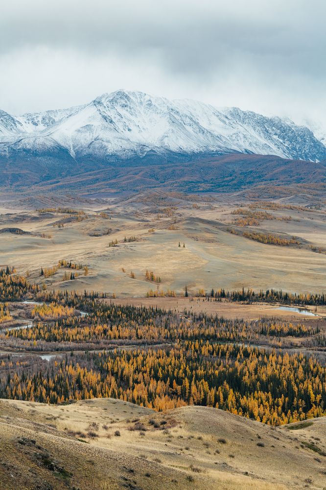 Photograph by Альбина Сагитова