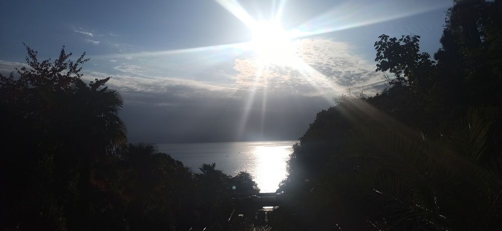 Photograph by Тихонова Ольга