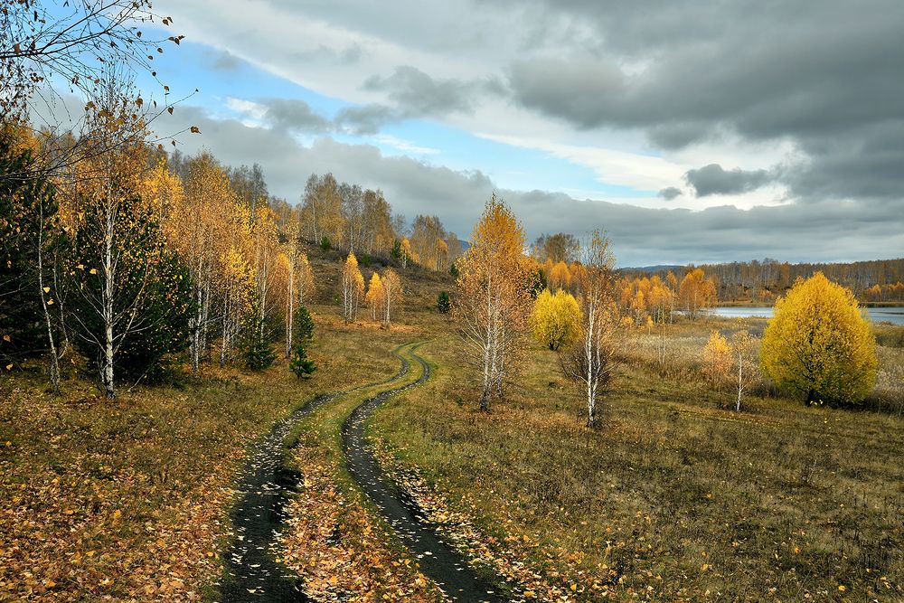 Осенняя дорога.