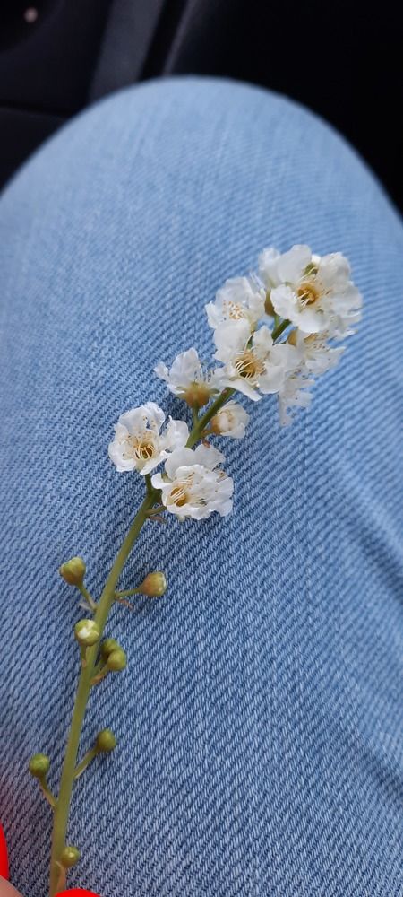 Photograph by Майя Витвицкая