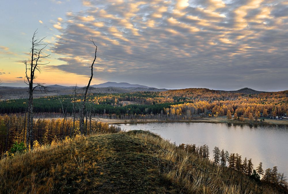 Осеннее утро