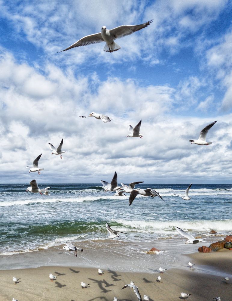 Photograph by Женя Жданова