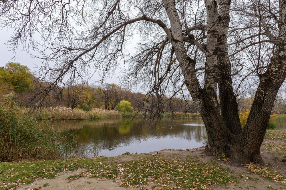 Photograph by Олег Ершов