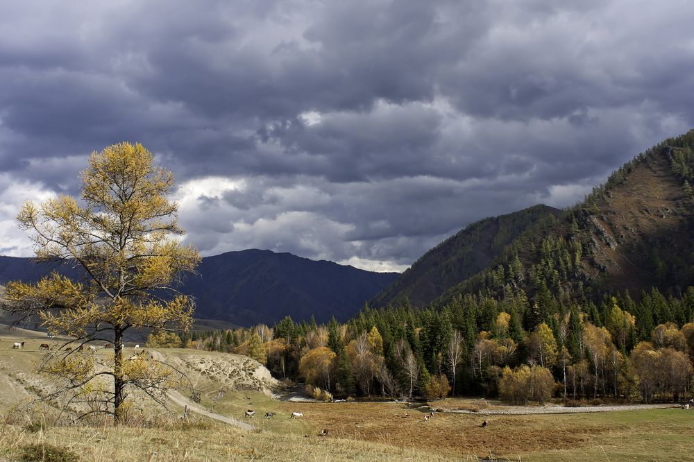 Photograph by Анатолий Стафичук