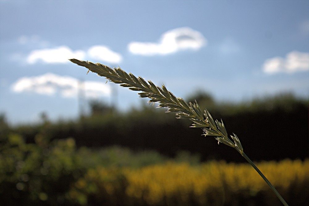 Photograph by Антон Корольков