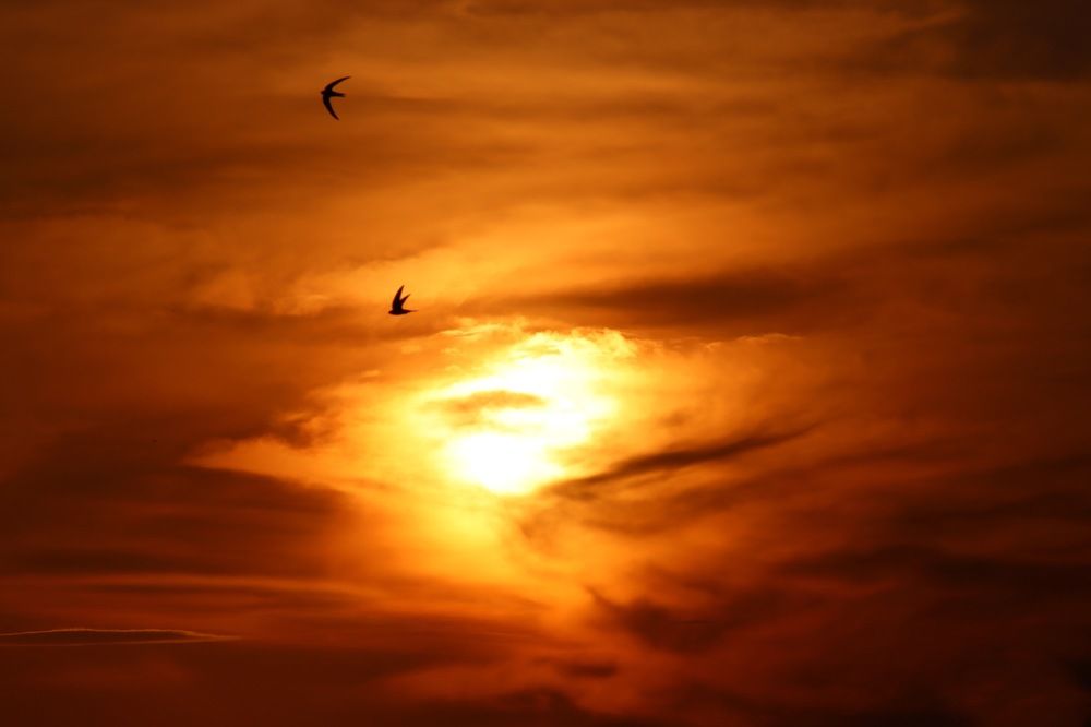 Photograph by Ирина Лисовец